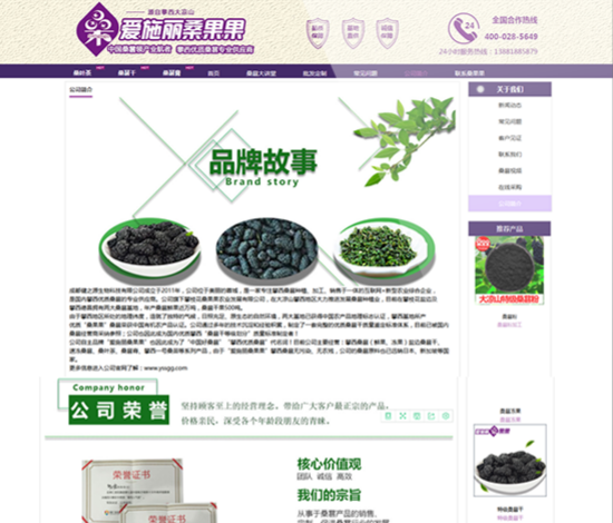 攀西桑葚種植加工銷售的綜合企業網站建設