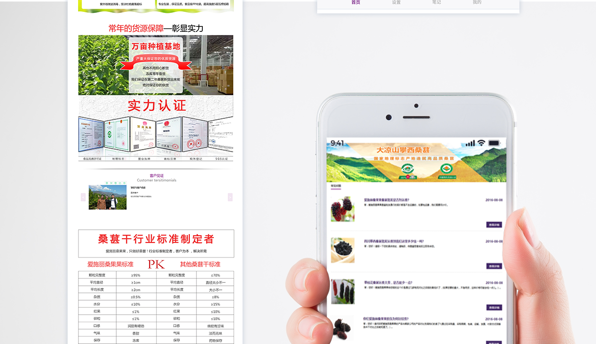 攀西桑葚種植加工銷售的綜合企業網站建設